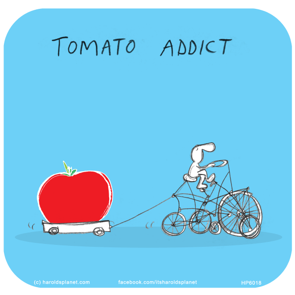 Harold's Planet: Tomato addict