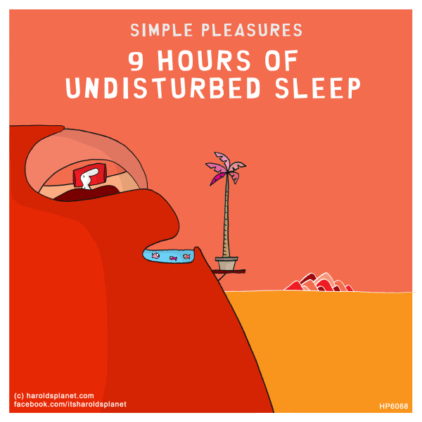 Harold's Planet: SIMPLE PLEASURES: 9 HOURS OF UNDISTURBED SLEEP