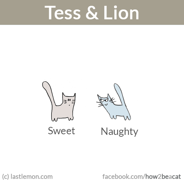 Tess and Lion: Sweet, naughty