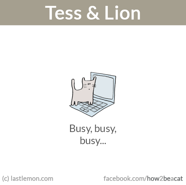 Tess and Lion: Busy, busy, busy