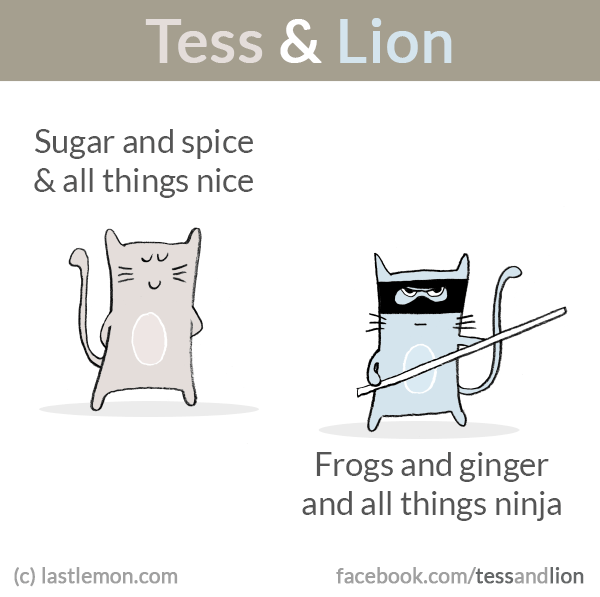 Tess and Lion: Sugar and spice, and all things nice. Frogs and ginger, and all things ninja.