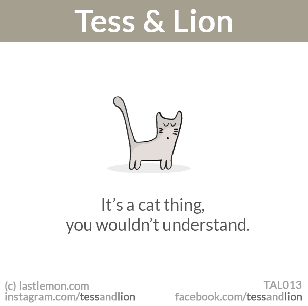 Tess and Lion: It's a cat thing. You wouldn't understand.