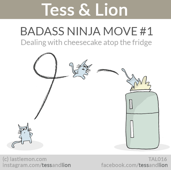 Tess and Lion: Badass Ninja Move #1: How to deal with the cheesecake atop the fridge