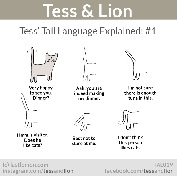 Tess and Lion: Tess’ Tail Language Explained: #1