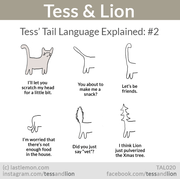 Tess and Lion: Tess’ Tail Language Explained: #2