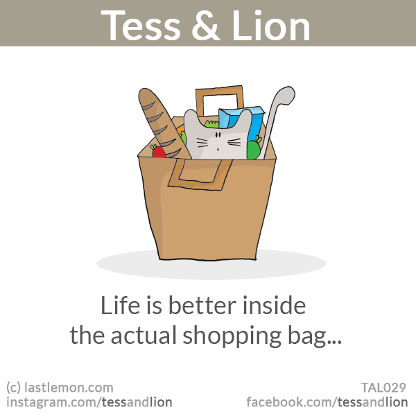 Tess and Lion: Life is better inside the actual shopping bag...