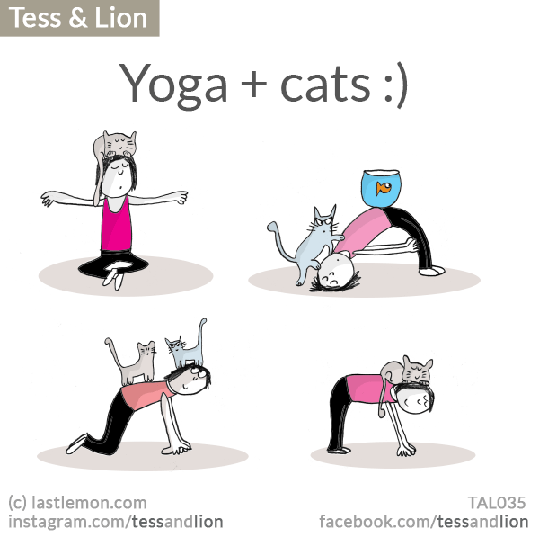 Tess and Lion: Yoga & cats