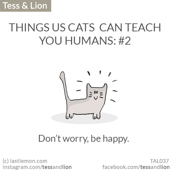 Tess and Lion: THINGS US CATS  CAN TEACH YOU HUMANS: #2 - Don’t worry, be happy.