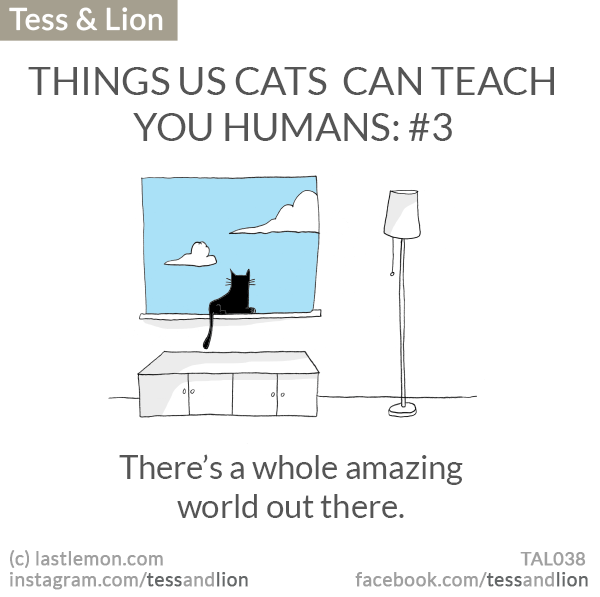 Tess and Lion: THINGS US CATS  CAN TEACH YOU HUMANS: #3 - There’s a whole amazing world out there.