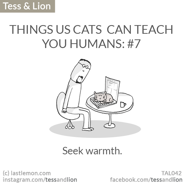 Tess and Lion: THINGS US CATS  CAN TEACH YOU HUMANS: #7 -  Seek warmth