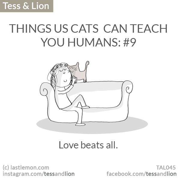 Tess and Lion: THINGS US CATS  CAN TEACH YOU HUMANS: #9 - Love beats all