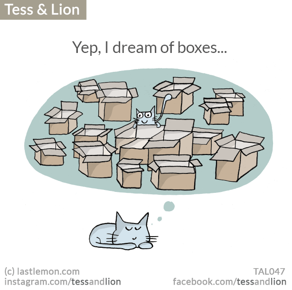Tess and Lion: Yep, I dream of boxes...