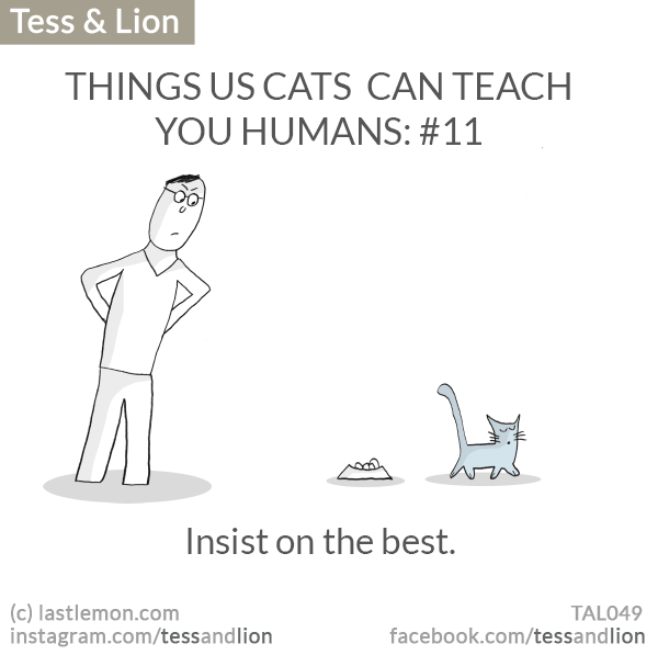 Tess and Lion: THINGS US CATS  CAN TEACH YOU HUMANS: #11 - Insist on the best.