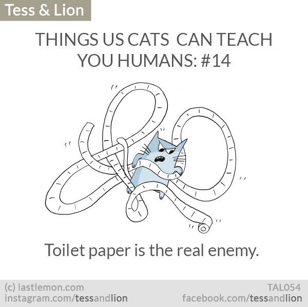 Tess and Lion: THINGS US CATS  CAN TEACH YOU HUMANS: #14 - Toilet paper is the real enemy.