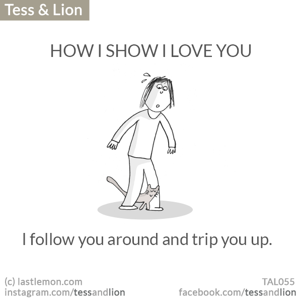 Tess and Lion: HOW I SHOW I LOVE YOU: I follow you around and trip you up.