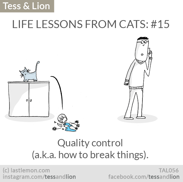Tess and Lion: LIFE LESSONS FROM CATS: #15 - Quality control
(a.k.a. how to break things).