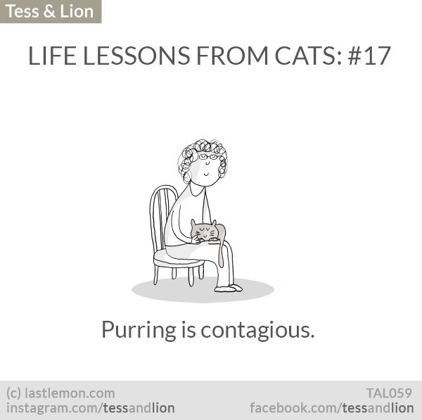 Tess and Lion: LIFE LESSONS FROM CATS: #17 - Purring is contagious.