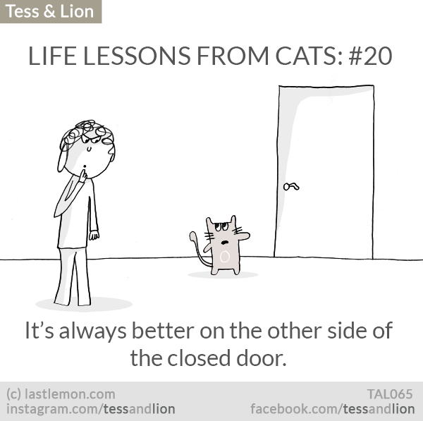 Tess and Lion: LIFE LESSONS FROM CATS: #20 - It’s always better on the other side of the closed door.
