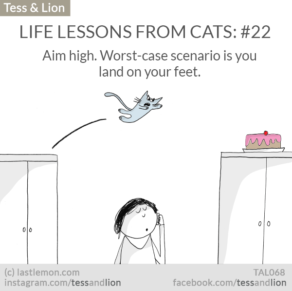 Tess and Lion: LIFE LESSONS FROM CATS: #22 - Aim high. Worst-case scenario is you land on your feet.