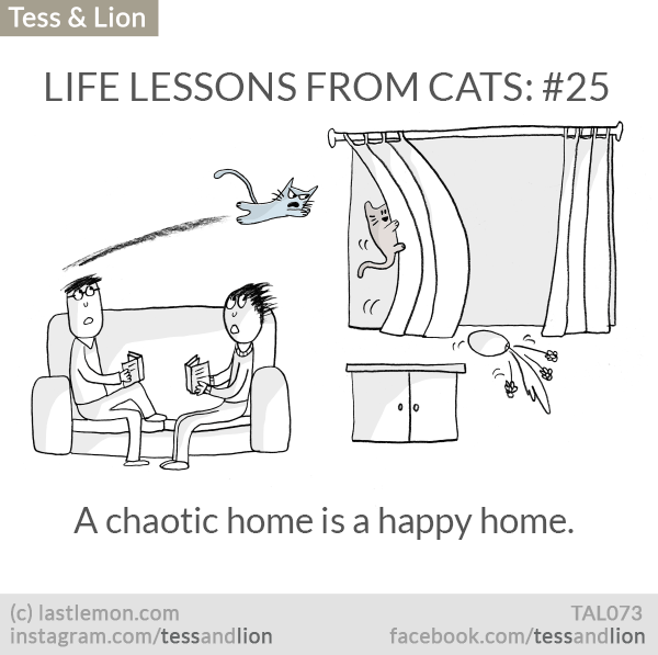 Tess and Lion: LIFE LESSONS FROM CATS: #25 - A chaotic home is a happy home.
