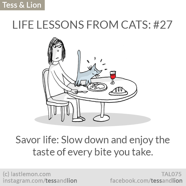 Tess and Lion: LIFE LESSONS FROM CATS: #27 - Savor life: Slow down and enjoy the taste of every bite you take.