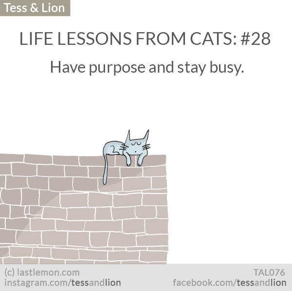 Tess and Lion: LIFE LESSONS FROM CATS: #28 - Have purpose and stay busy.