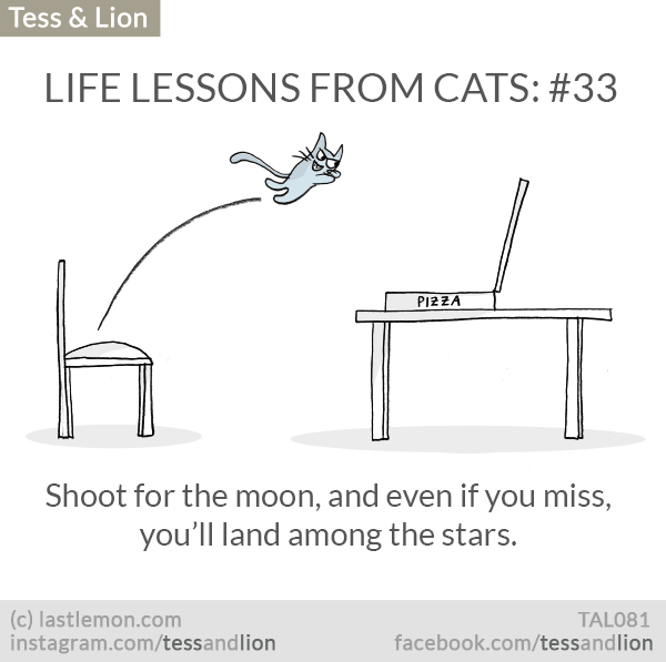 Tess and Lion: LIFE LESSONS FROM CATS: #33 - Shoot for the moon, and even if you miss, you’ll land among the stars.