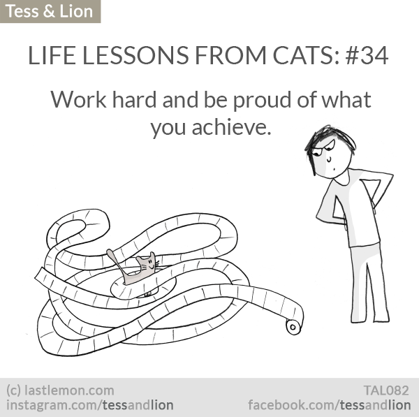 Tess and Lion: LIFE LESSONS FROM CATS: #34 - Work hard and be proud of what you achieve.