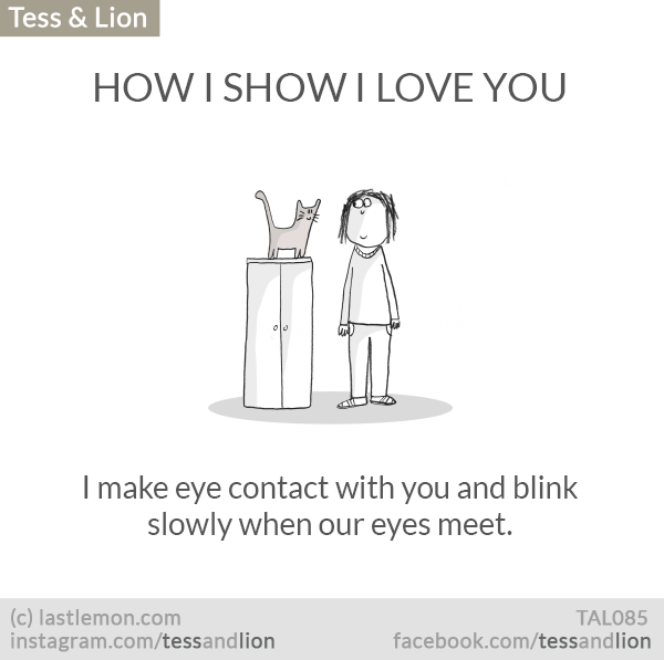 Tess and Lion: HOW TO SHOW I LOVE YOU: I make eye contact with you and blink slowly when our eyes meet.