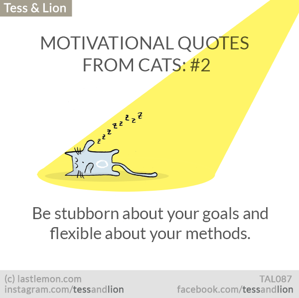 Tess and Lion: MOTIVATIONAL QUOTES FROM CATS: #2 - Be stubborn about your goals and flexible about your methods.