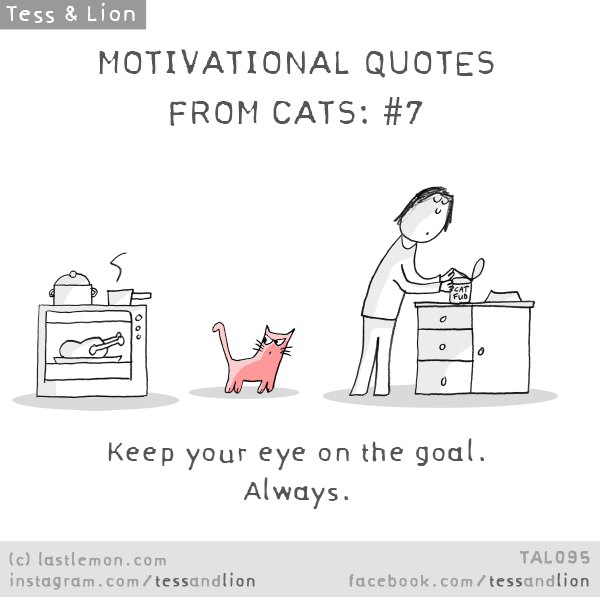 Tess and Lion: MOTIVATIONAL QUOTES FROM CATS: #7 - Keep your eye on the goal. Always.