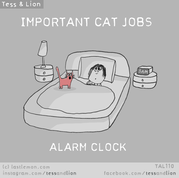 Tess and Lion: IMPORTANT CAT JOBS - ALARM CLOCK