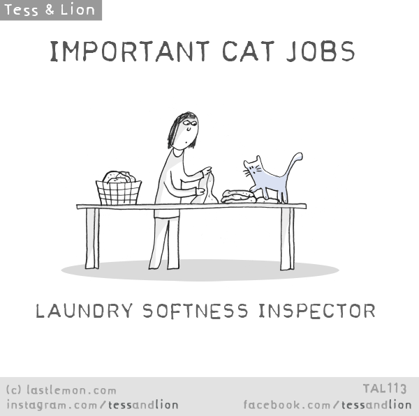 Tess and Lion: IMPORTANT CAT JOBS - LAUNDRY SOFTNESS INSPECTOR