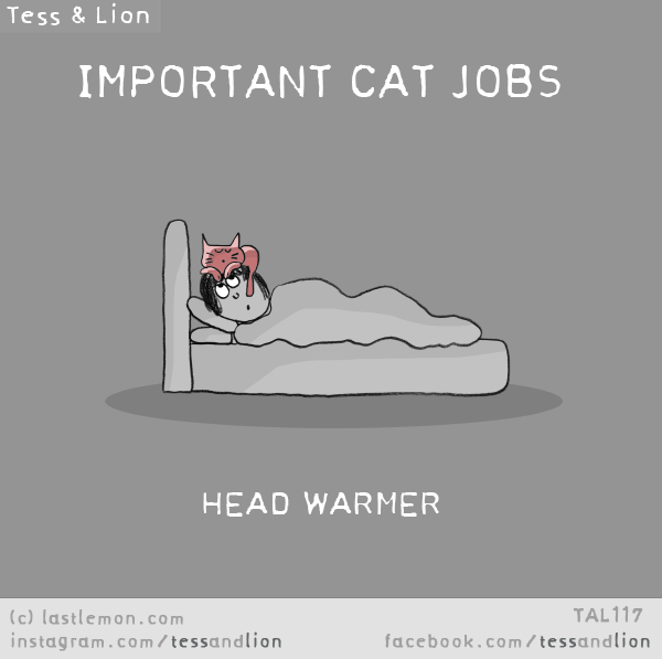 Tess and Lion: IMPORTANT CAT JOBS - HEAD WARMER