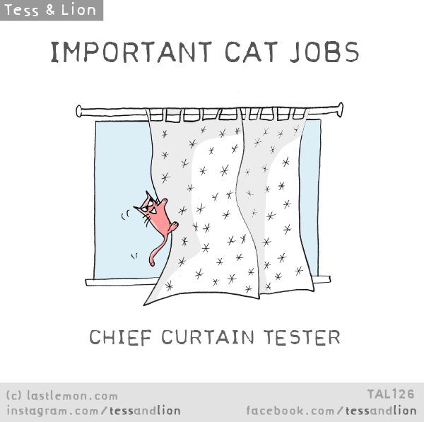 Tess and Lion: IMPORTANT CAT JOBS - CHIEF CURTAIN TESTER