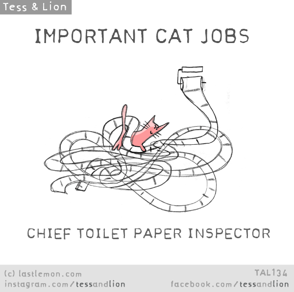 Tess and Lion: IMPORTANT CAT JOBS- CHIEF TOILET PAPER INSPECTOR