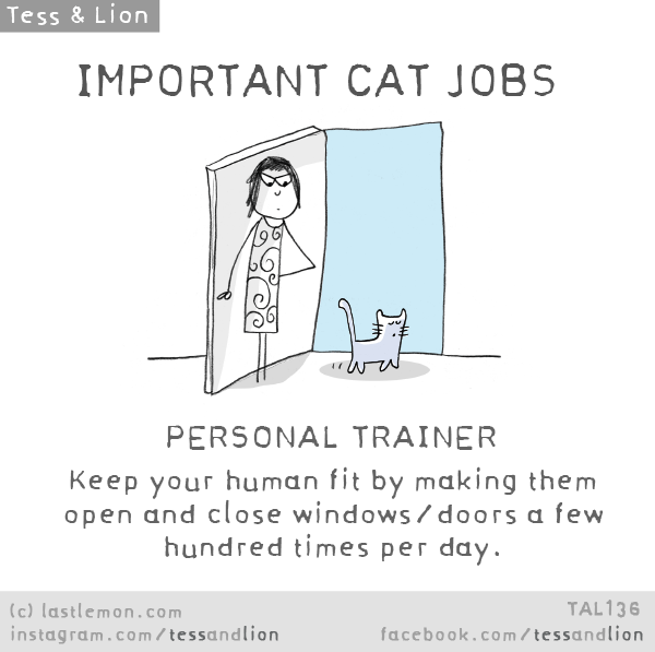 Tess and Lion: IMPORTANT CAT JOBS: PERSONAL TRAINER - Keep your human fit by making them open and close windows/doors a few hundred times per day.