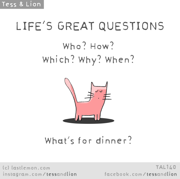 Tess and Lion: LIFE’S GREAT QUESTIONS: Who? How? Which? Why? When? What’s for dinner?