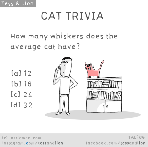 Tess and Lion: CAT TRIVIA: How many whiskers does the average cat have?