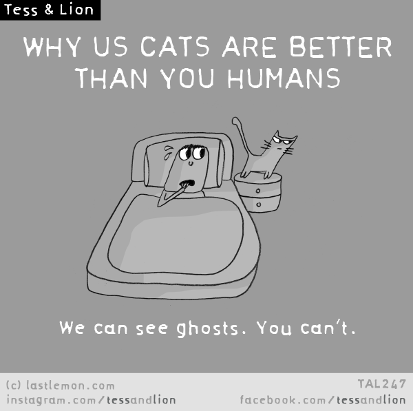 Tess and Lion: WHY US CATS ARE BETTER THAN YOU HUMANS: We can see ghosts. You can’t.