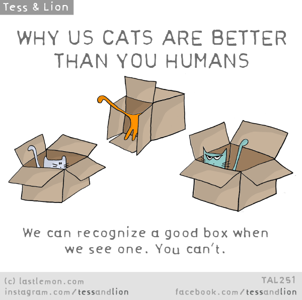Tess and Lion: WHY US CATS ARE BETTER THAN YOU HUMANS: We can recognize a good box when we see one. You can’t.