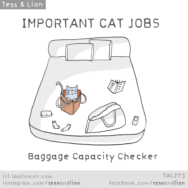 Tess and Lion: IMPORTANT CAT JOBS: Baggage Capacity Checker