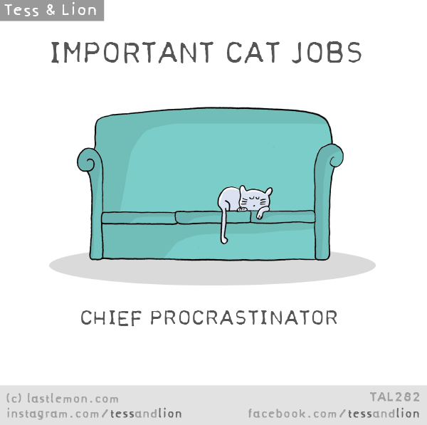 Tess and Lion: IMPORTANT CAT JOBS: CHIEF PROCRASTINATOR
