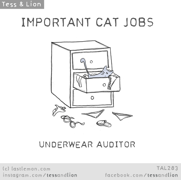Tess and Lion: IMPORTANT CAT JOBS: UNDERWEAR AUDITOR