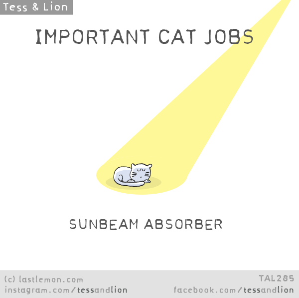 Tess and Lion: IMPORTANT CAT JOBS: SUNBEAM CATCHER