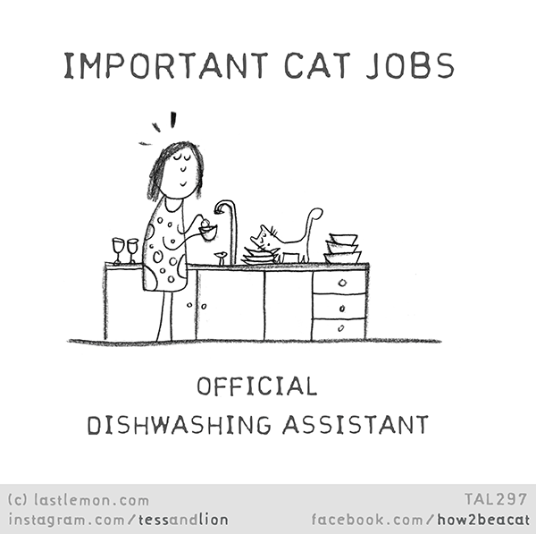 Tess and Lion: IMPORTANT CAT JOBS: OFFICIAL DISHWASHING ASSISTANT