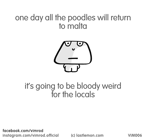 Vimrod: one day all the poodles will return to malta. it’s going to be bloody weird for the locals