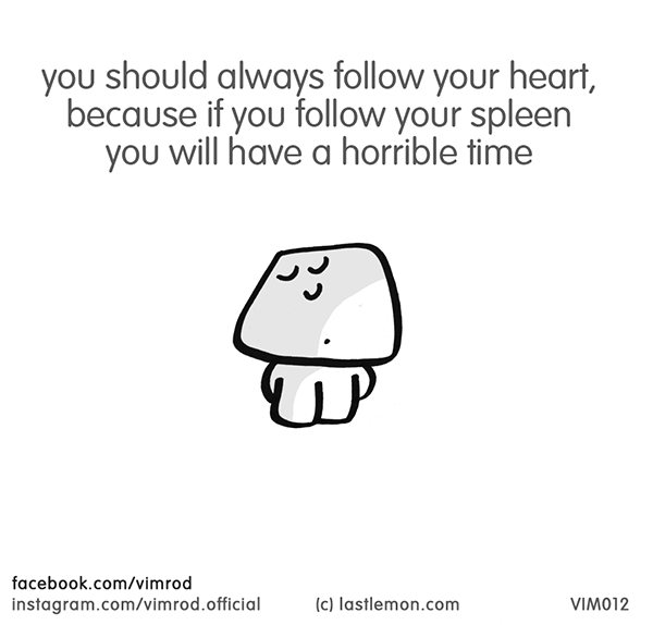 Vimrod: you should always follow your heart, because if you follow your spleen you will have a horrible time