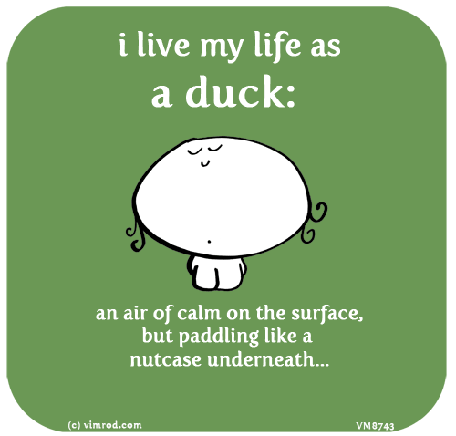 Vimrod: i live my life as a duck:  an air of calm on the surface, but paddling like a nutcase underneath...