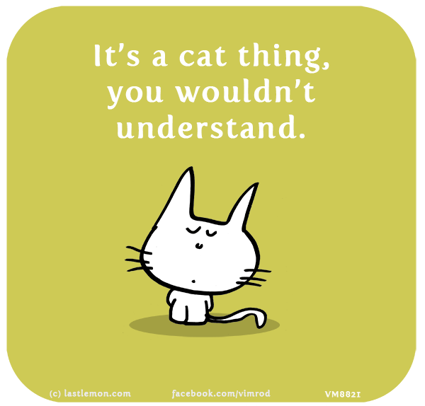 Vimrod: It’s a cat thing, you wouldn’t understand.